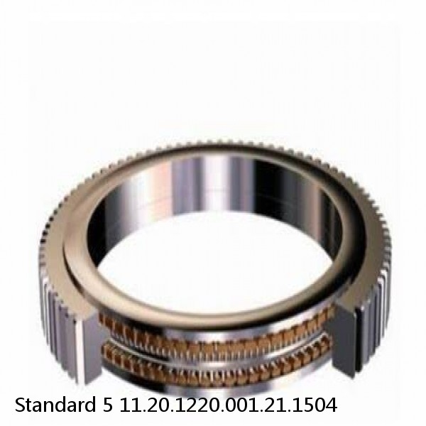 11.20.1220.001.21.1504 Standard 5 Slewing Ring Bearings