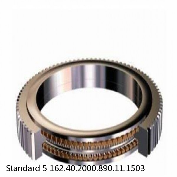 162.40.2000.890.11.1503 Standard 5 Slewing Ring Bearings #1 small image