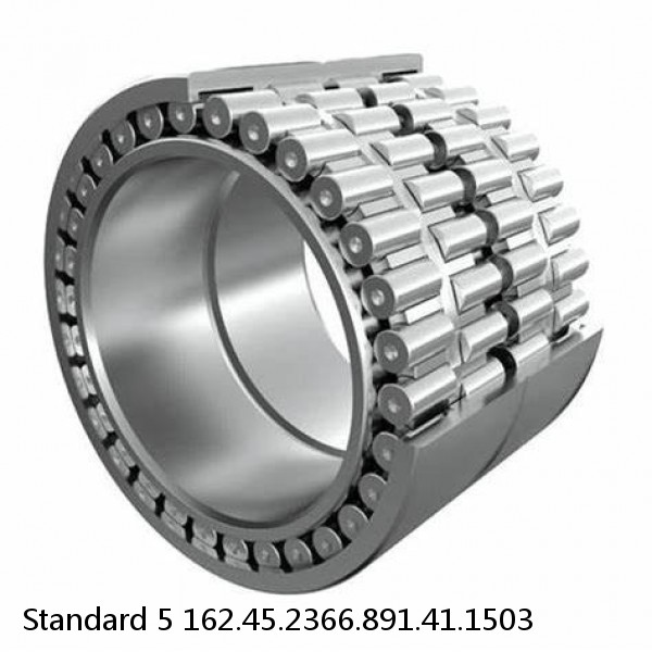 162.45.2366.891.41.1503 Standard 5 Slewing Ring Bearings