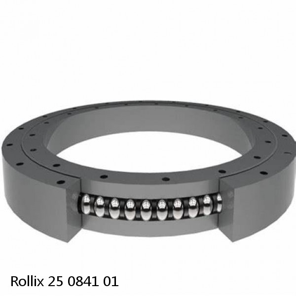 25 0841 01 Rollix Slewing Ring Bearings #1 small image
