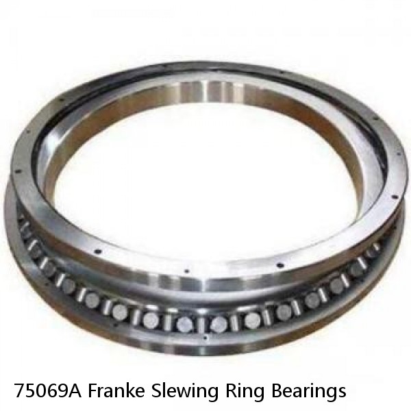75069A Franke Slewing Ring Bearings #1 small image