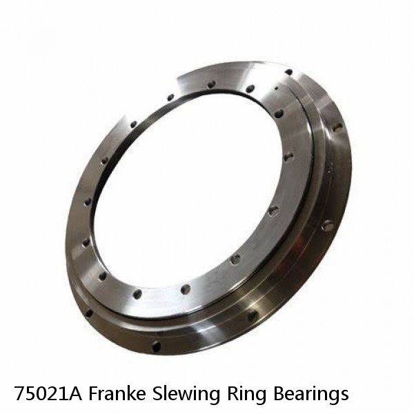 75021A Franke Slewing Ring Bearings #1 small image