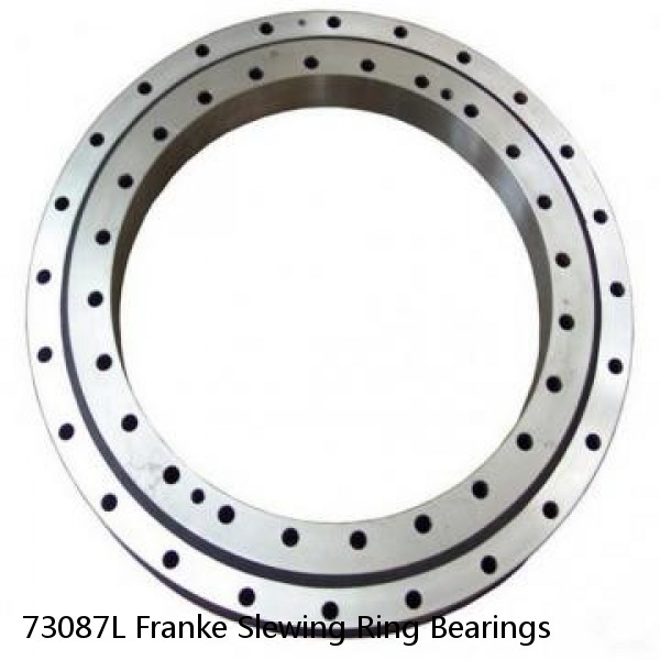 73087L Franke Slewing Ring Bearings #1 small image