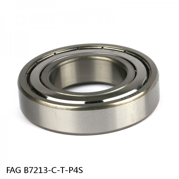 B7213-C-T-P4S FAG high precision ball bearings #1 small image