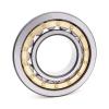 2.165 Inch | 55 Millimeter x 5.512 Inch | 140 Millimeter x 1.299 Inch | 33 Millimeter  CONSOLIDATED BEARING NU-411 M RL1  Cylindrical Roller Bearings
