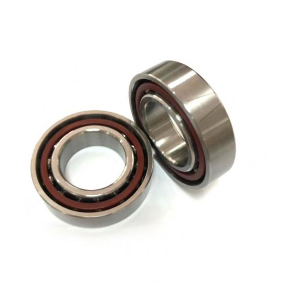 95 mm x 200 mm x 45 mm  FAG NJ319-E-TVP2  Cylindrical Roller Bearings #1 image